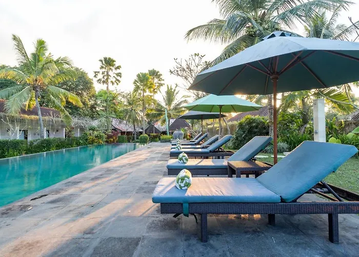 Winter Ubud